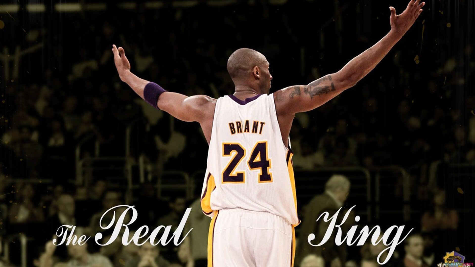 世界极限攀爬巡回赛，攀上未知的巅峰荣光，极限攀爬第一人坠亡